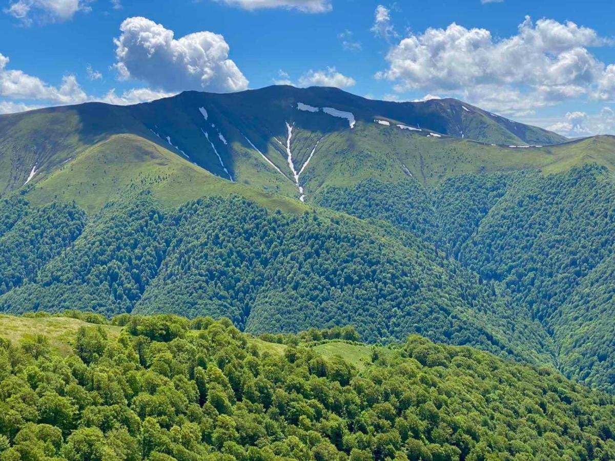 Під Боржавою Volovets Exterior foto