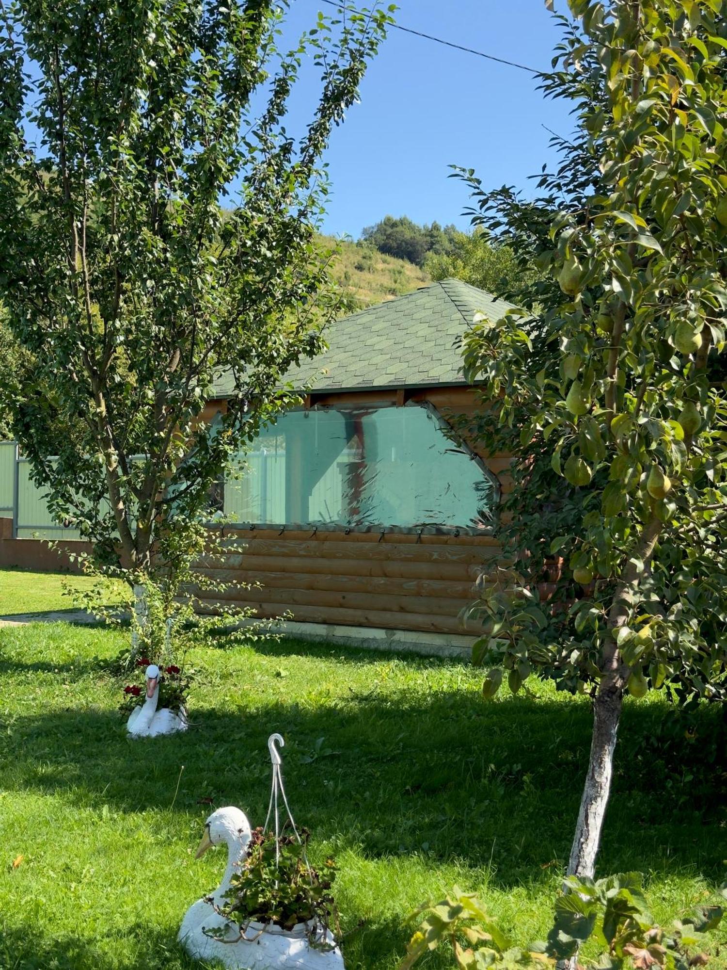 Під Боржавою Volovets Exterior foto