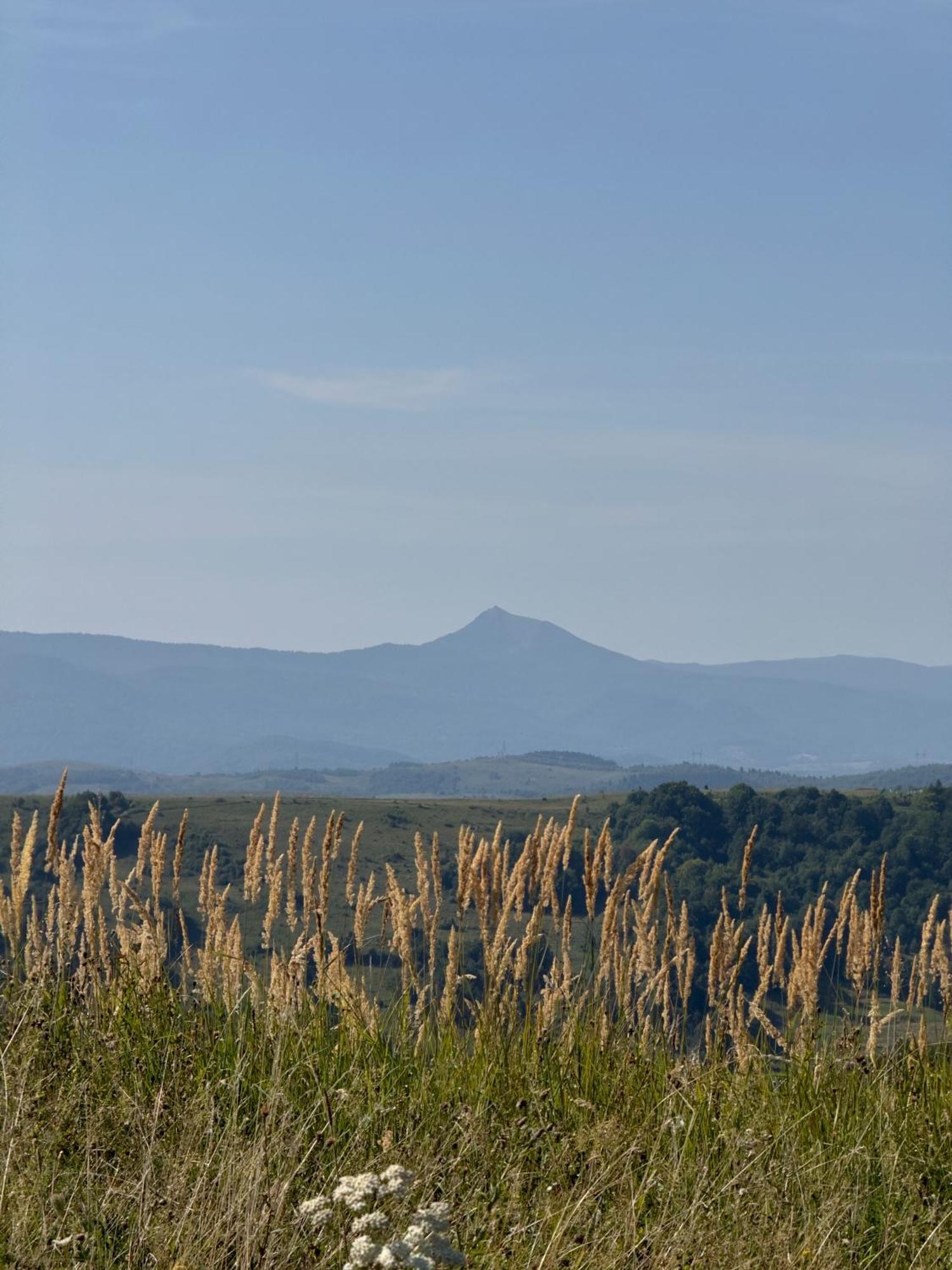 Під Боржавою Volovets Exterior foto